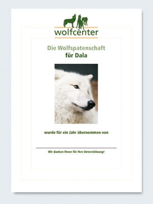 Wolfcenter, Onlineshop, Patenschaften, Wolf, Wolfspatenschaft, Hudsonbay Wolf, Dala