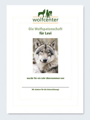 Wolfcenter, Onlineshop, Patenschaften, Wolf, Wolfspatenschaft, europäischer Grauwolf, Levi
