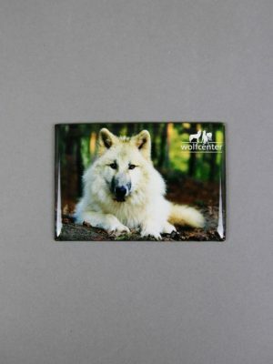 Wolfcenter, Onlineshop, Souvenirs, Magnete, weißer Wolf