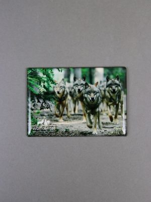 Wolfcenter, Onlineshop, Souvenirs, Magnete, Wolfsrudel