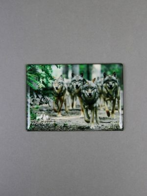 Wolfcenter, Onlineshop, Souvenirs, Magnete, Wolfsrudel