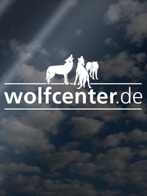Wolfcenter, Onlineshop, Souvenirs, Aufkleber, Heckscheibe, Logo