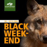 Wolfcenter Woelfe Zoo Wildpark Tiergehege Wolfsgehege Frank Fass Last Minute Black Weekend Friday Angebote Preisnachlass Ermässigung